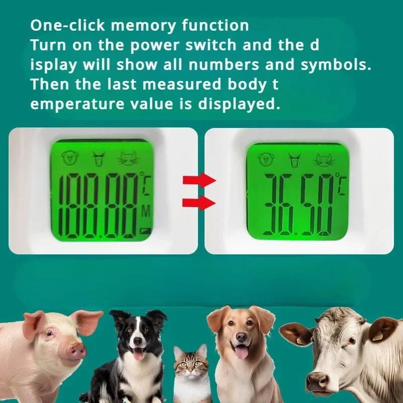Electronic Veterinary Thermometer for Pets