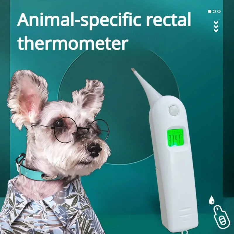 Electronic Veterinary Thermometer for Pets