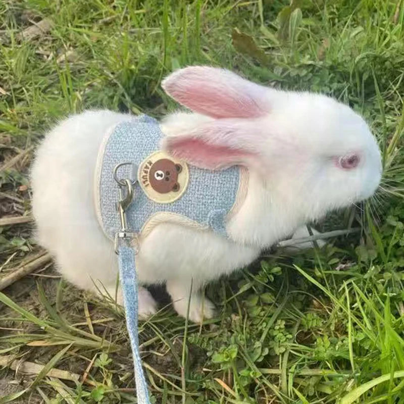 Rabbit and cat leash