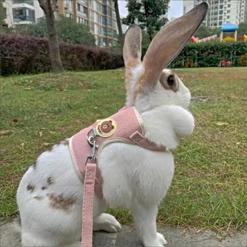 Rabbit and cat leash