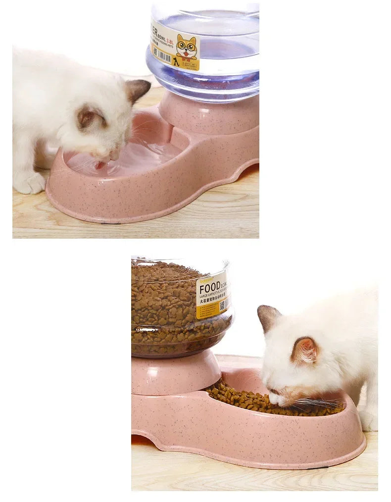 Automatic dog feeders