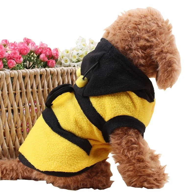 Cute bee costume, for dogs and cats