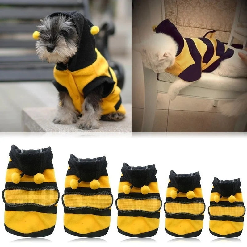 Cute bee costume, for dogs and cats