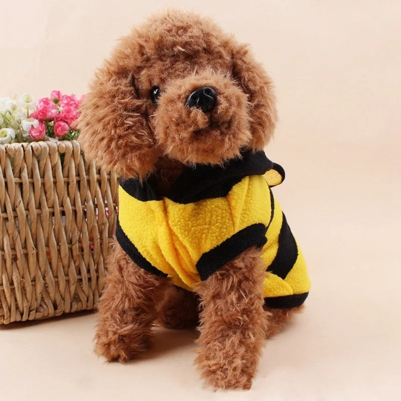 Cute bee costume, for dogs and cats