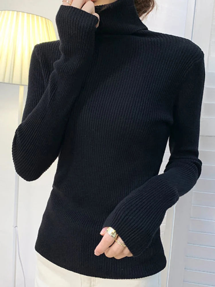 Autumn Women's Turtleneck Cashmere Sweater