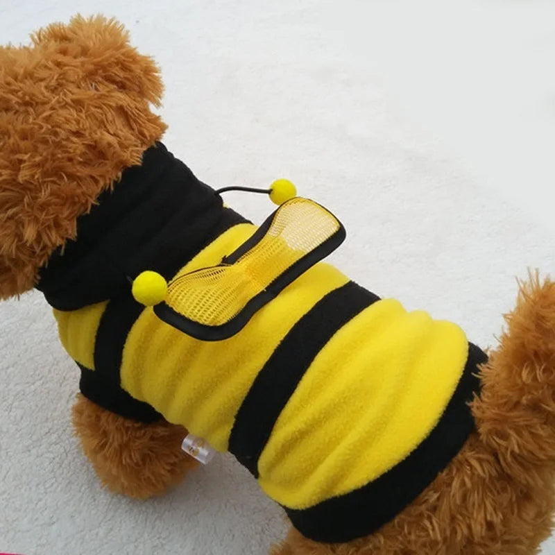 Cute bee costume, for dogs and cats